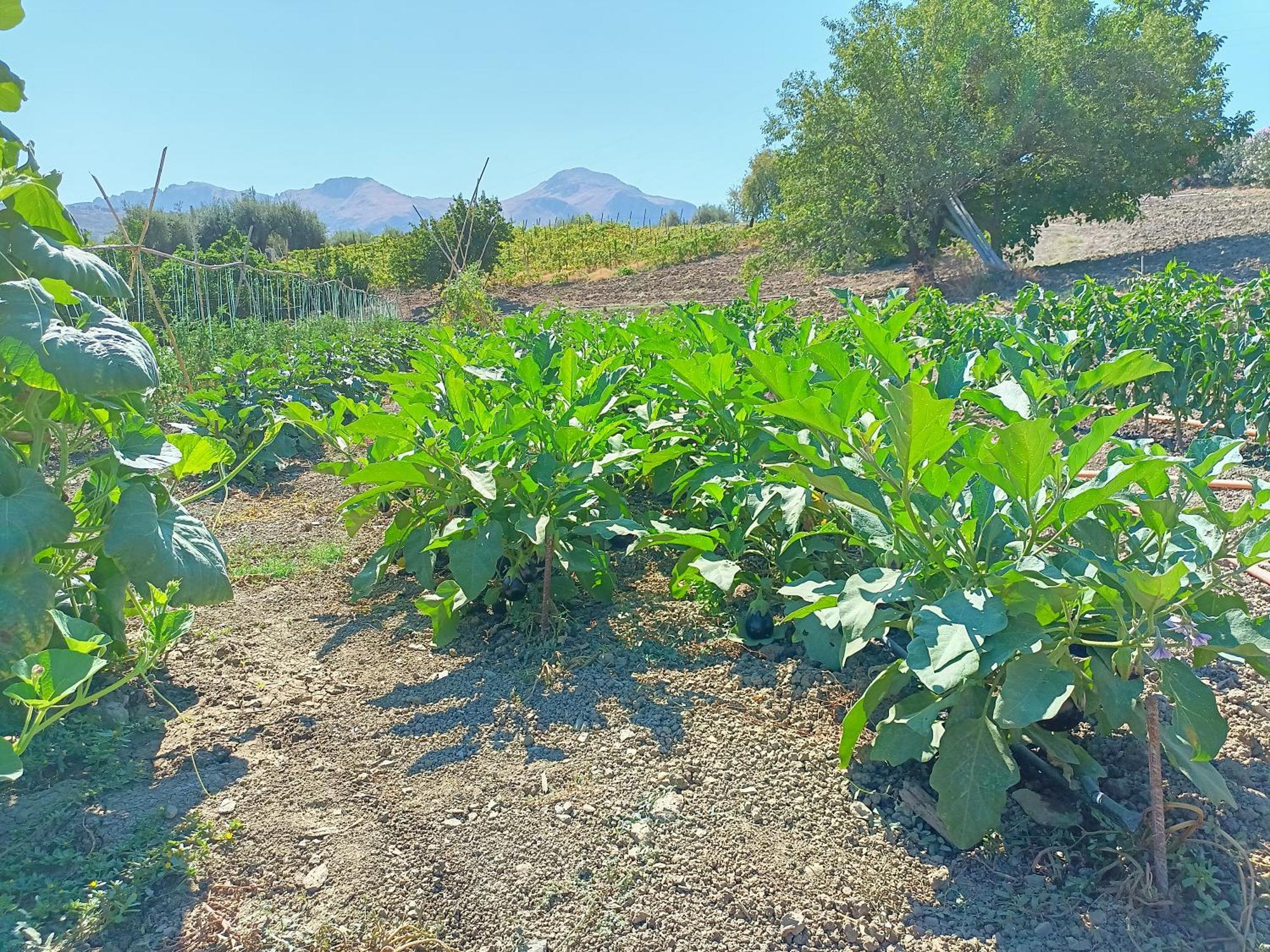 Agriturismo Le Campanelle - Sicilia - Cefalu Villa Lascari Dış mekan fotoğraf